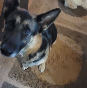 Meet your Posher, Janis